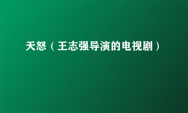 天怒（王志强导演的电视剧）