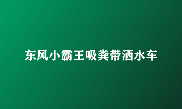 东风小霸王吸粪带洒水车