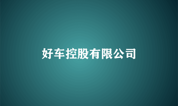 好车控股有限公司
