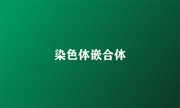 染色体嵌合体