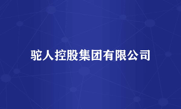 驼人控股集团有限公司