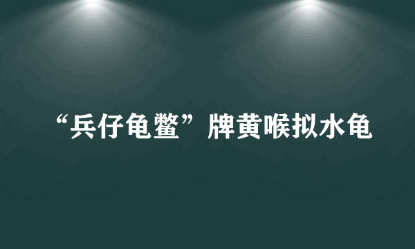“兵仔龟鳖”牌黄喉拟水龟