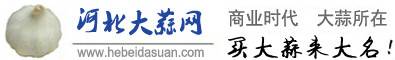 河北大蒜网