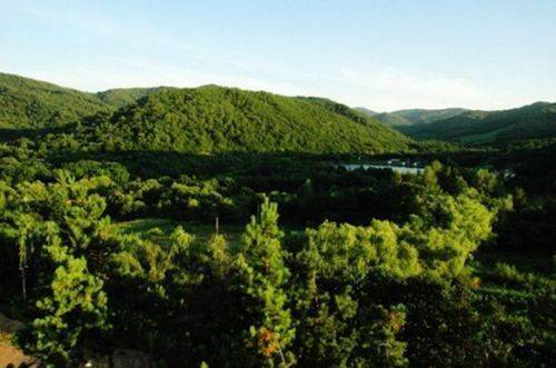 黑龙江青山国家森林公园