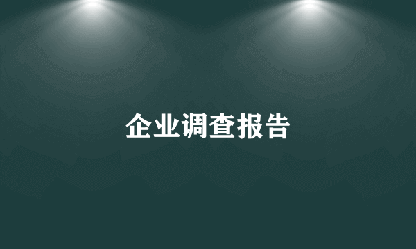企业调查报告