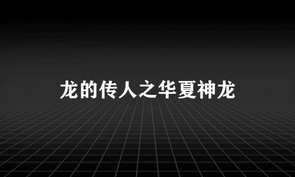龙的传人之华夏神龙