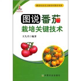 西红柿种植技术