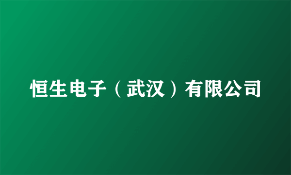 恒生电子（武汉）有限公司