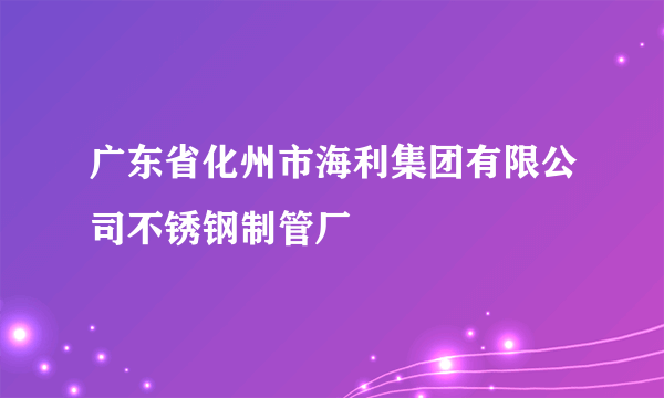 广东省化州市海利集团有限公司不锈钢制管厂