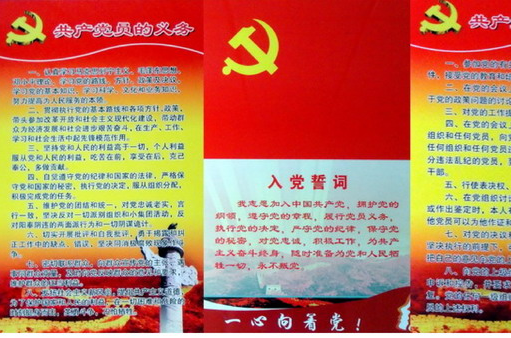 党支部组织委员