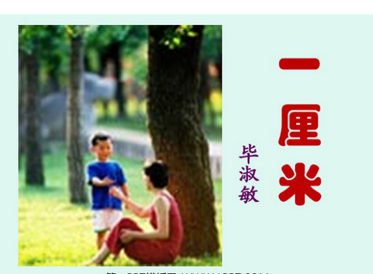 一厘米（毕淑敏创作的小说）