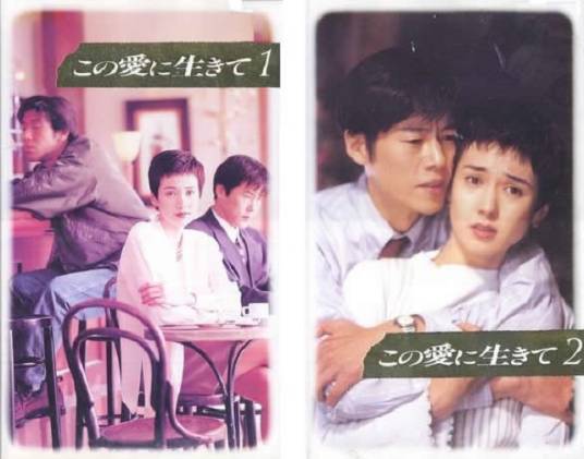 为爱而活（日本1994年安田成美主演电视剧）