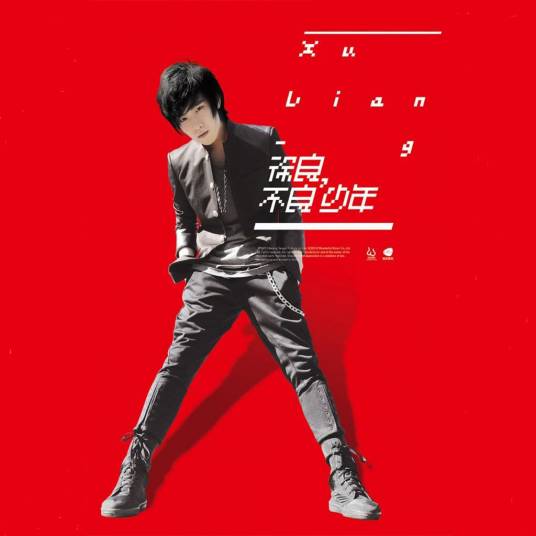 不良（2011年徐良演唱的歌曲）