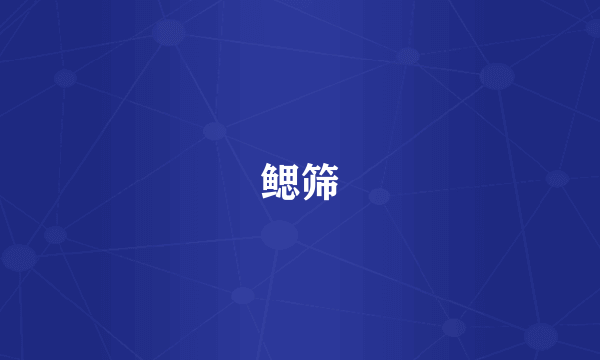 鳃筛