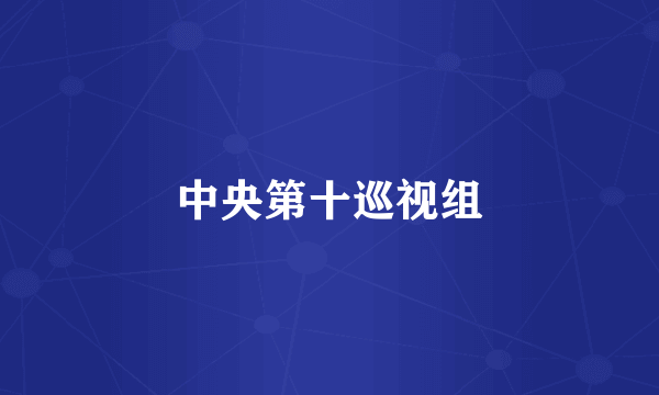 中央第十巡视组
