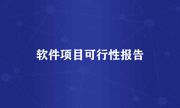 软件项目可行性报告