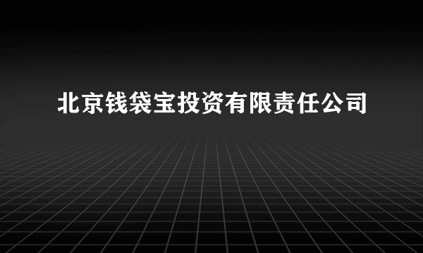 北京钱袋宝投资有限责任公司