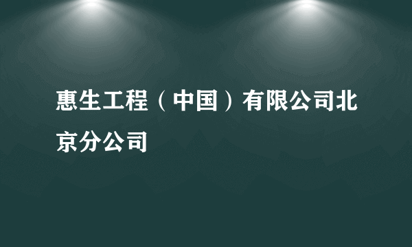 惠生工程（中国）有限公司北京分公司
