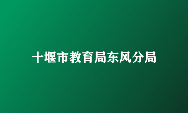 十堰市教育局东风分局