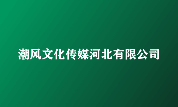 潮风文化传媒河北有限公司