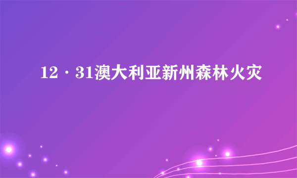12·31澳大利亚新州森林火灾