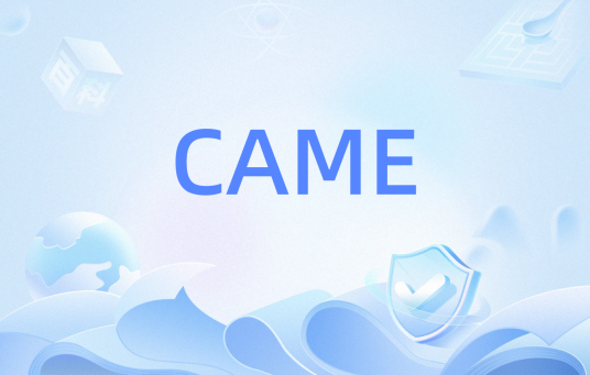 CAME（教育术语）