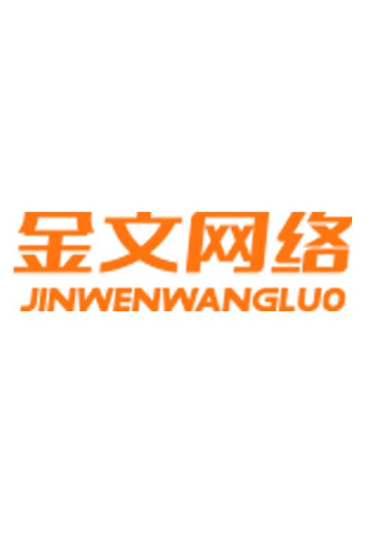 深圳市金文网络科技有限公司