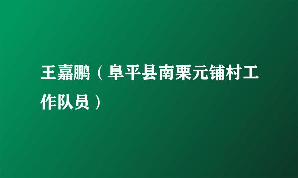 王嘉鹏（阜平县南栗元铺村工作队员）