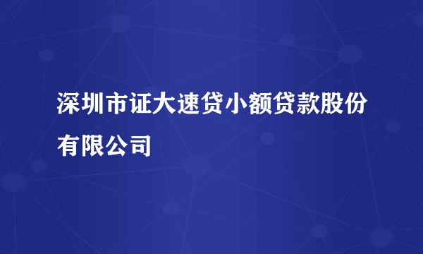 深圳市证大速贷小额贷款股份有限公司