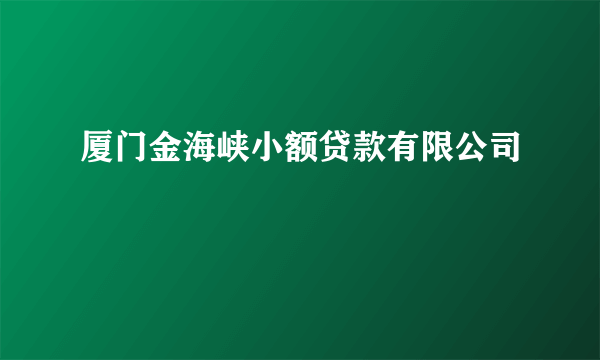厦门金海峡小额贷款有限公司