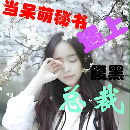 当呆萌秘书遇上腹黑总裁