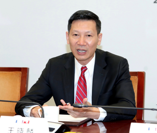 王晓麟（江苏赛麟前董事长、前首席执行官）