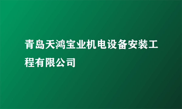 青岛天鸿宝业机电设备安装工程有限公司