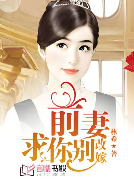 前妻，求你别改嫁（林希创作的网络小说）