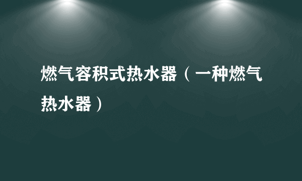 燃气容积式热水器（一种燃气热水器）