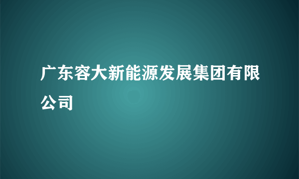 广东容大新能源发展集团有限公司