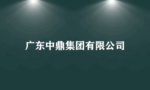 广东中鼎集团有限公司
