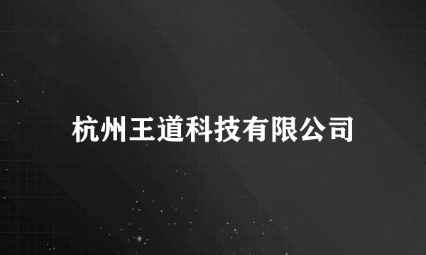 杭州王道科技有限公司
