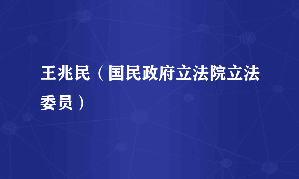 王兆民（国民政府立法院立法委员）