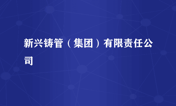 新兴铸管（集团）有限责任公司