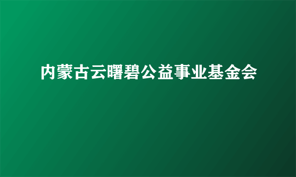 内蒙古云曙碧公益事业基金会