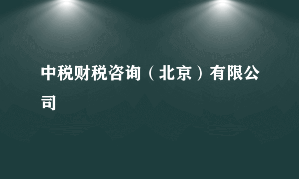 中税财税咨询（北京）有限公司