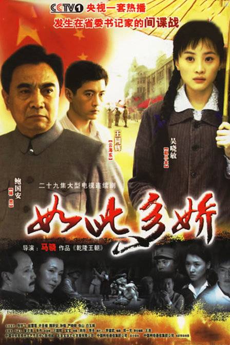 如此多娇（2005年出品的马骁执导电视剧）