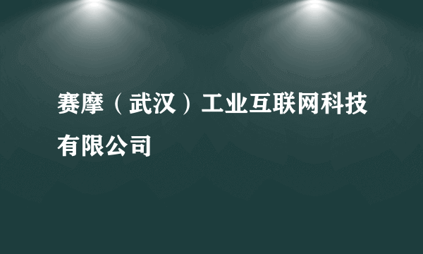 赛摩（武汉）工业互联网科技有限公司