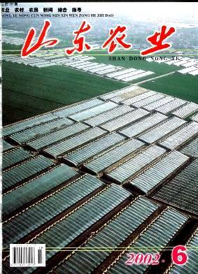 山东农业