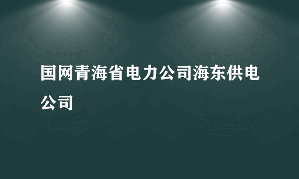 国网青海省电力公司海东供电公司