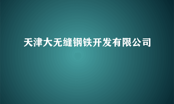 天津大无缝钢铁开发有限公司
