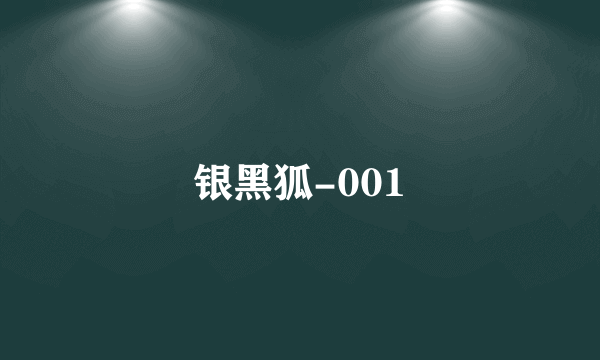 银黑狐-001