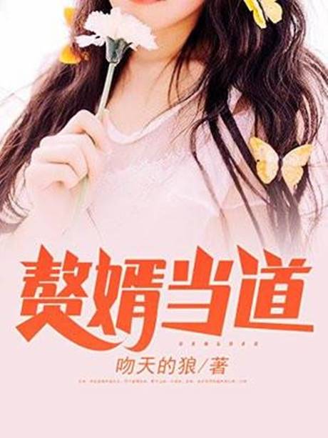 赘婿当道（吻天的狼创作的都市类网络小说）