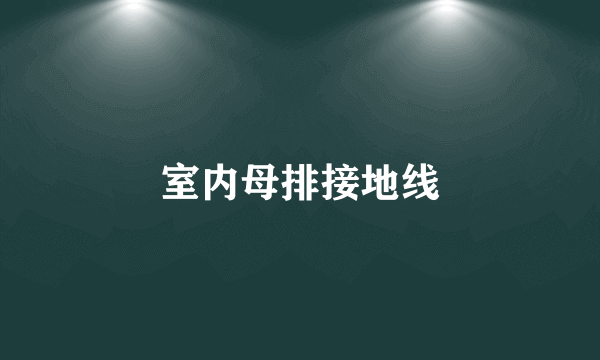 室内母排接地线
